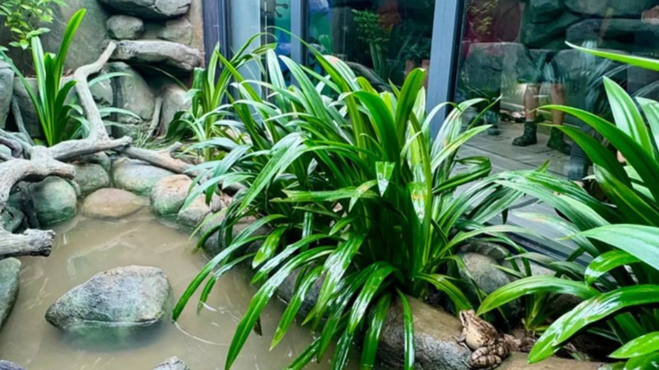 kingdom-2024.jpg